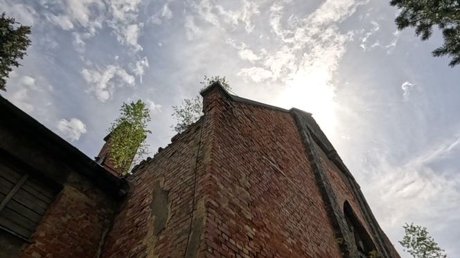 Porzucony kościół Salvatora na Dolnym Śląsku. Tajemnicza ruina w centrum miasta 