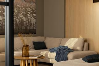 Salon z narożnikiem