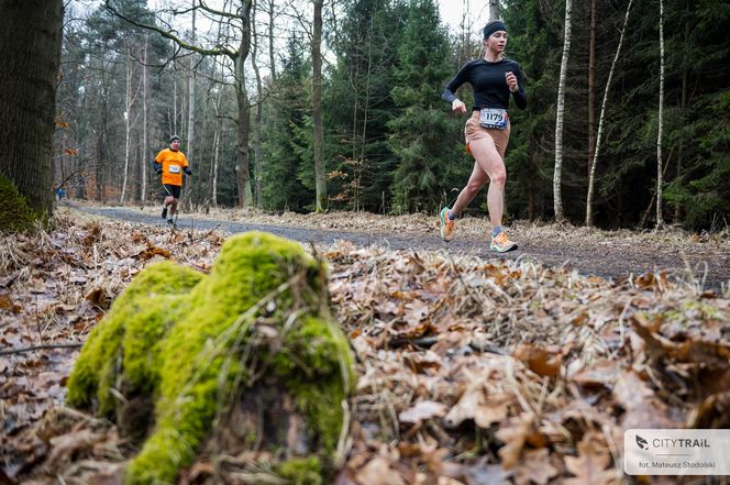 Biegacze City Trail Katowice dobiegli do mety sezonu