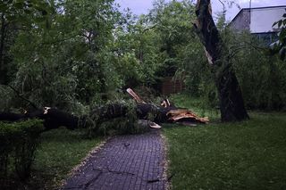 Orkan przechodzi przez województwo śląskie. Gwałtowne burze i ulewny deszcz