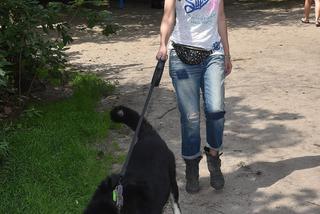 Agnieszka Włodarczyk i pieski