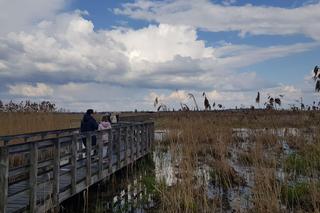Narwiański Park Narodowy