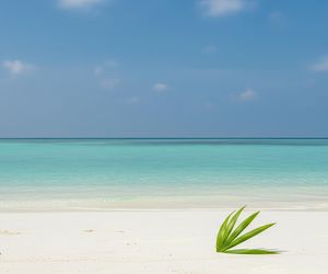 Malediwy zakazują palenia. Kto już nigdy nie zapali papierosa?