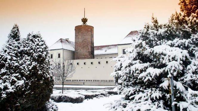 Ambitne plany w głogowskim muzeum