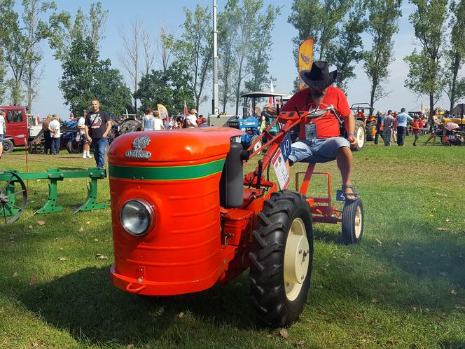 Festiwal starych ciągników w Wilkowicach. Setki maszyn, tysiące widzów i upał