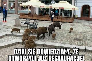 Najlepsze memy o Olsztynie. Z tego śmieją się internauci