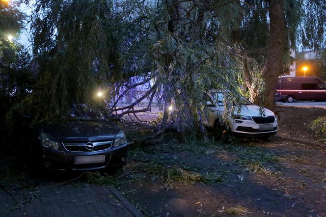 Burze i nawałnice przeszły nad Polską. Strażacy podali miażdżące dane