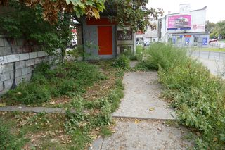 Okrutna śmierć 55-latki! Po wykorzystaniu leżała obnażona w pasie zieleni. Wokół strzępy odzieży