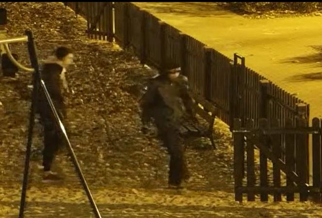Dwóch nastolatków z Pabianic znęcało się nad jeżem