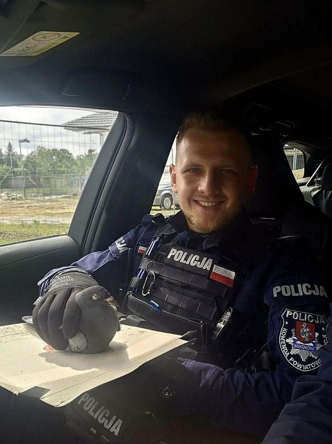 Policjanci o gołębich sercach
