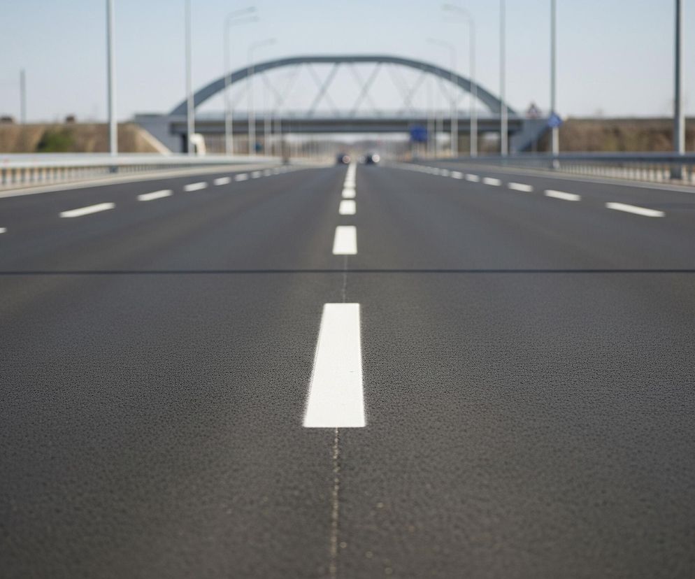 Asfaltowa autostrada rozciąga się w głąb obrazu, z wyraźnymi białymi pasami namalowanymi na ciemnej nawierzchni. Po prawej i lewej stronie widoczne są metalowe bariery energochłonne, za którymi wznoszą się słupy oświetleniowe. W oddali, w centralnej części zdjęcia, znajduje się szary łukowy most, a pod nim widać przejeżdżające samochody. Horyzont dominuje jasne, błękitne niebo.