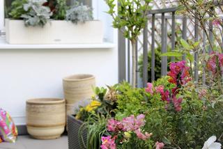 Zdjęcia balkon: mały ogród