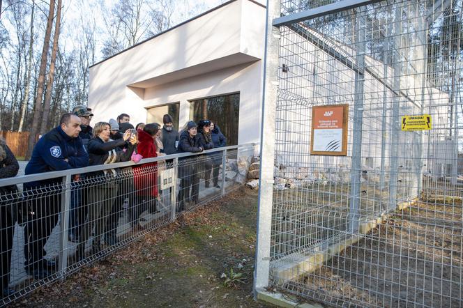 Posłanki i posłowie z wizytą w Zoo