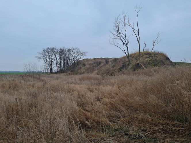 Młoda kobieta "zapadła się pod ziemię" 