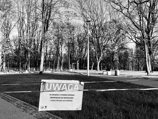 Katowice w czasie pandemii. Wyjątkowe zdjęcia studenta UŚ. Koronawirus na Śląsku 