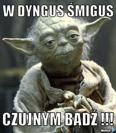 memy lany poniedziałek