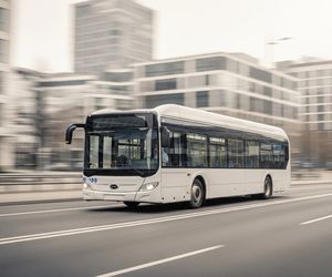 Sto nowych autobusów hybrydowych. Jakie zmiany czekają pasażerów w 2026 roku?