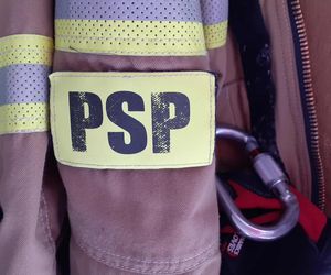 W Teodorowie spłonął drewniany dom. W budynku strażacy znaleźli ciało mężczyzny