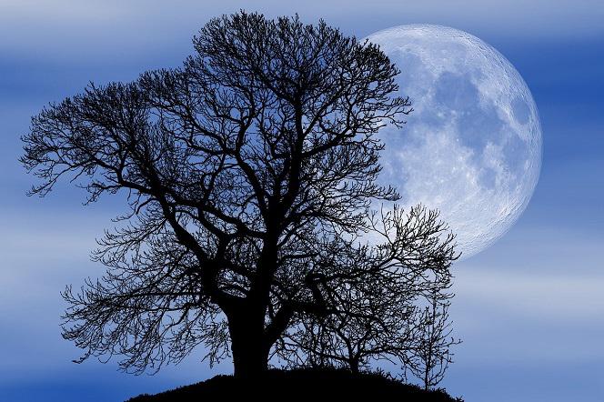 Ostatni superksiężyc w 2020 roku. Kiedy będzie najbardziej widoczny na niebie?