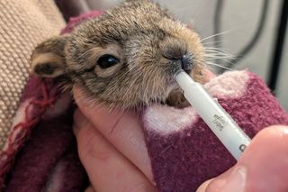 Wiele osób ruszyło z pomocą 