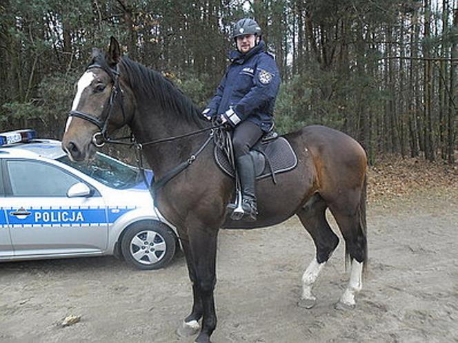 Policjanci walczą o emeryturę dla... konia. Blue Baker przez 12 lat służył w konnym oddziale policji 