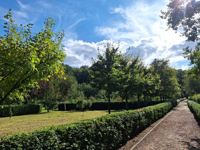 Arboretum Bramy Morawskiej zachwyca jesienią