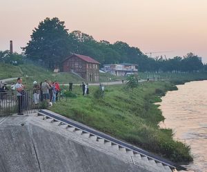 Mieszkańcy Wrocławia monitorują Odrę na Jazie Różanka. Ustawiono metalowe zapory