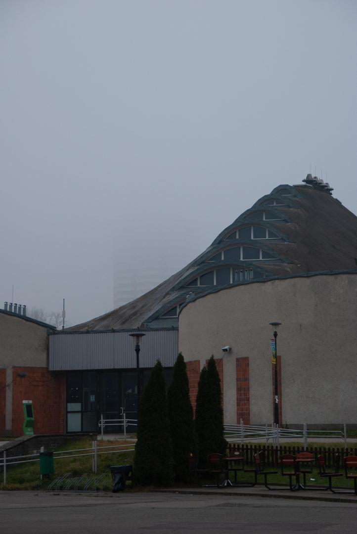 Hala Kapelusz w Parku Śląskim powstała w innowacyjnej technologii. Zobacz zdjęcia wyjątkowego budynku