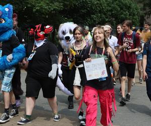 Marsz futrzaków w Lublinie. Tak wyglądał I Lubelski Fursuitwalk