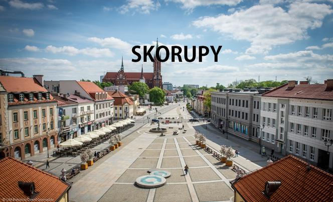 19. Skorupy