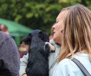 IX Piknik Przyjaciół Schroniska w Toruniu