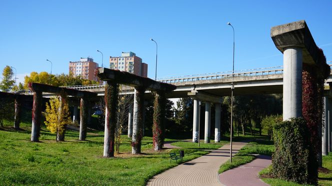 Filary porośnięte bluszczem w Lublinie! Tak się prezentują w jesiennej odsłonie