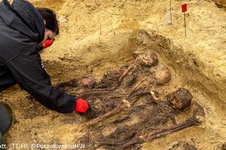 Szczątki 20 osób zakopane w lesie pod Warszawą