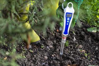 Jak sprawdzić pH gleby? Sprawdź jak zbadać odczyn gleby w ogrodzie i poprawić jej jakość