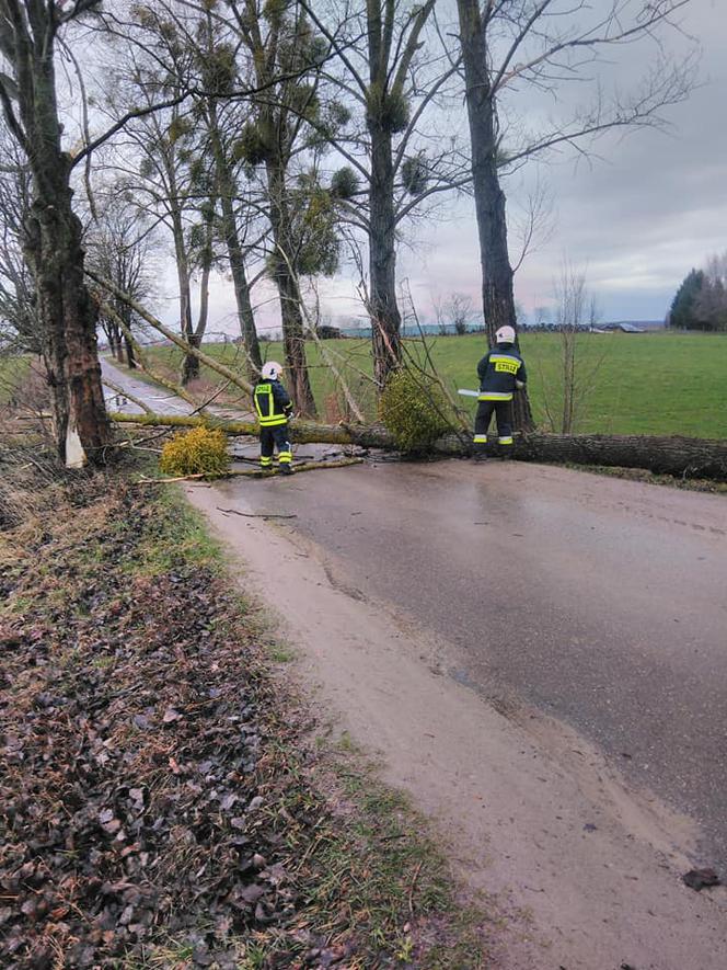 Wichura na Warmii i Mazurach. Silny wiatr łamał drzewa