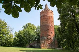 Wieża widokowa Golczewo 