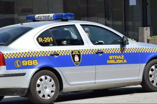 Radom: Kopał każdy podjeżdżający autobus. Strażnicy miejscy zatrzymali agresywnego nastolatka