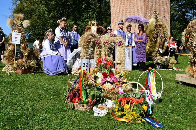 Tłumy na dożynkach w Olsztynku. Zobacz, jak wyglądało tegoroczne święto plonów
