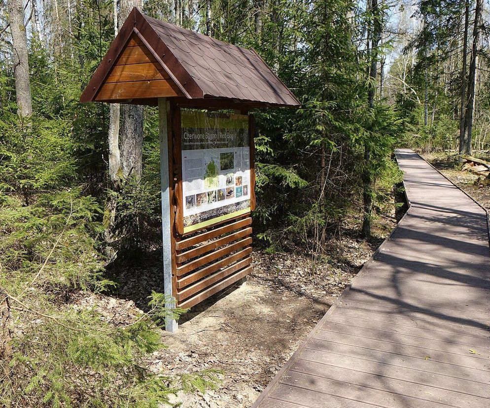 Na Podlasiu leży największy park narodowy w Polsce. Te jego atrakcje przyciągają jak magnes!