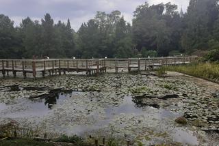 Arboretum Bolestraszyce