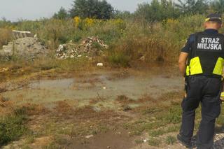 Żrąca substancja na Białołęce! Co się dzieje na działce dewelopera?