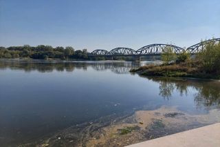 Wisła w Fordonie wyraźnie przybrała i przyspieszyła. Duża woda niesie mnóstwo śmieci i zanieczyszczeń