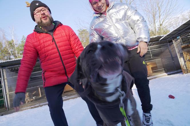 Skolim i Pawelec w schronisku 