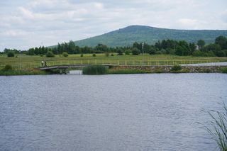 Zalew w Wilkowie (gmina Bodzentyn)