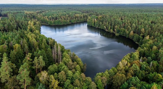 To największy kompleks leśny na Mazurach. Co krok pojawiają się malownicze jeziora