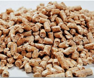 Ceny pelletu w grudniu 2025 r. Ile za pellet w hurtowniach, marketach i u producentów?