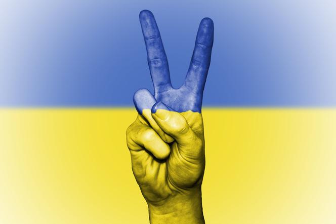 Gwiazdy pomagają Ukrainie. Zebrały prawie milion złotych! 
