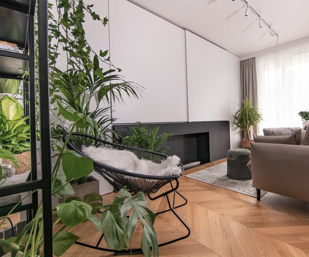 Mieszkanie na warszawskiej Woli