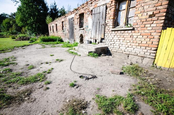 Trójka noworodków bestialsko zamordowana na Kaszubach. Maleństwa nie mogą zostać pochowane. Przerażające ustalenia