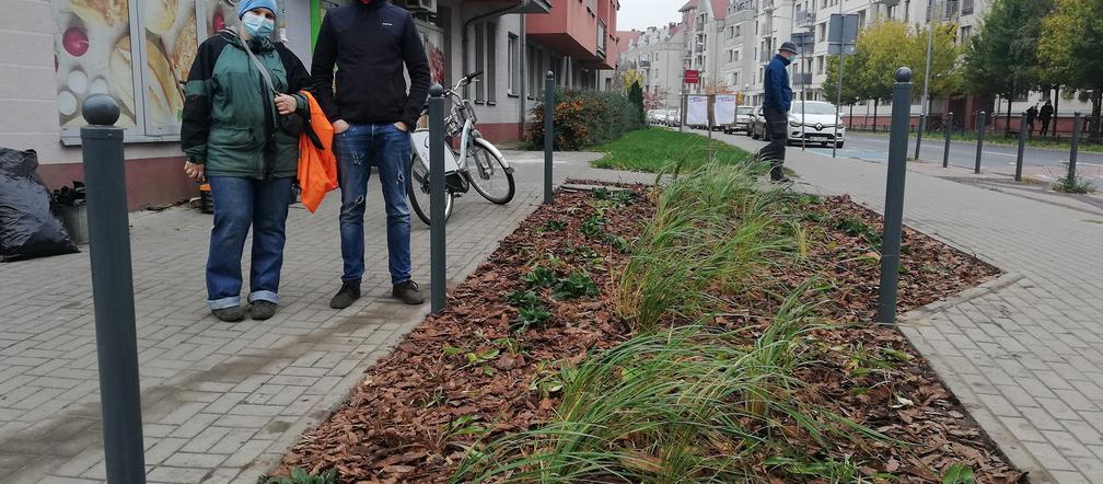 Nowy, zielony skwerek na Szyperskiej